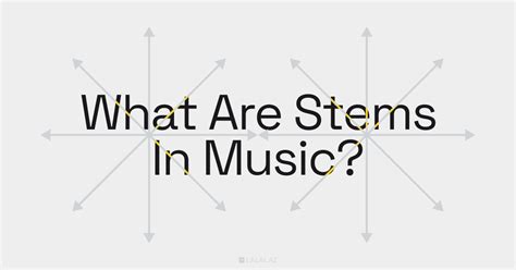 Music Stems Meaning: The Power of Sound in Unveiling Layers of Life Experience